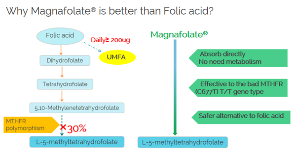 Por que o Magnafolato é melhor que o ácido fólico?