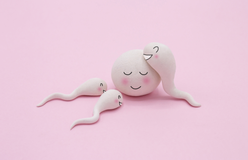 O ácido fólico pode melhorar a fertilidade -Magnafolato
