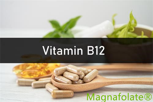 Vitamina B12:Introdução,Benefício,Saúde