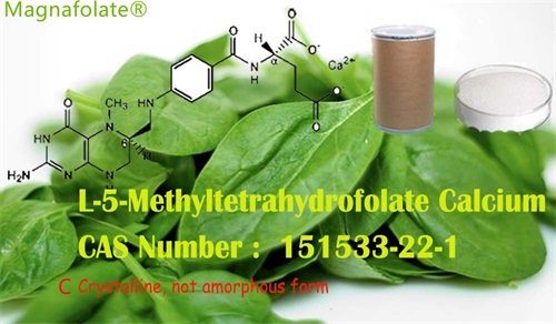 L-5-Metiltetrahidrofolato e ácido fólico são a mesma coisa?