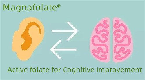 Folato ativo para melhoria cognitiva