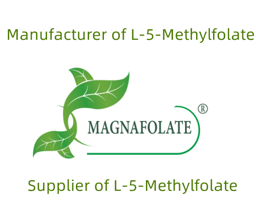 A importância do L-Metilfolato para o corpo