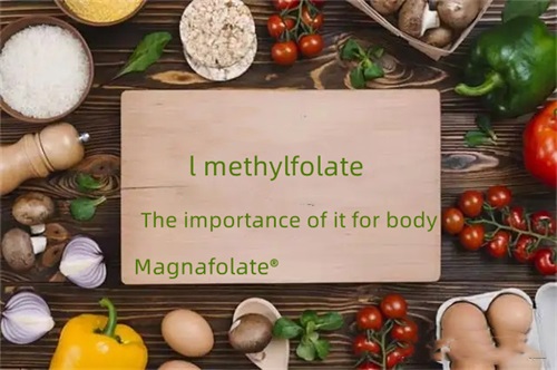 A importância do l metilfolato para o corpo
