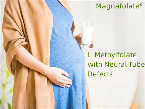 Folato, L-Metilfolato com defeitos do tubo neural