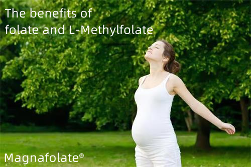 Os benefícios do folato e L-metilfolato