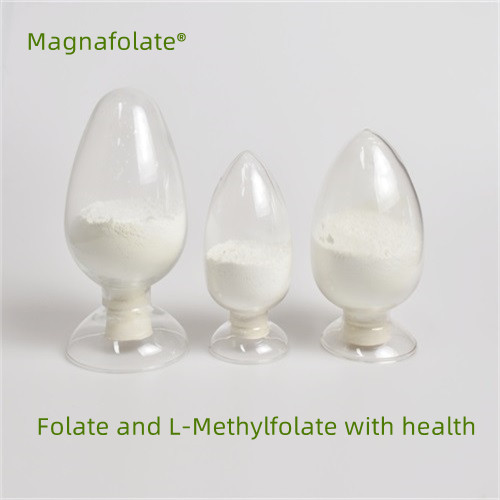 Folato e L-Metilfolato com saúde