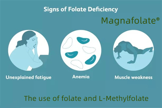 O uso de folato e L-Metilfolato
