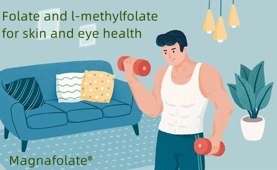 Folato e l-metilfolato para a saúde da pele e dos olhos