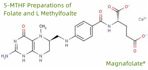 Preparações de 5-MTHF de Folato e L Metilfoalte