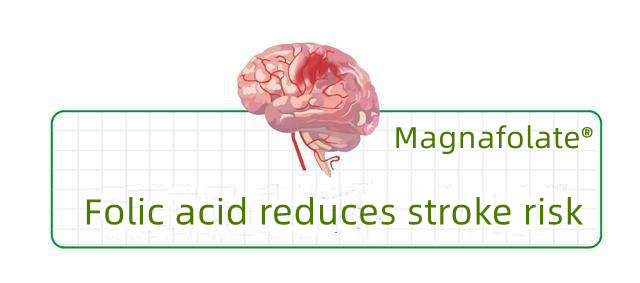 O ácido fólico reduz o risco de acidente vascular cerebral