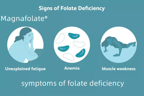 Quais são os sintomas da deficiência de folato