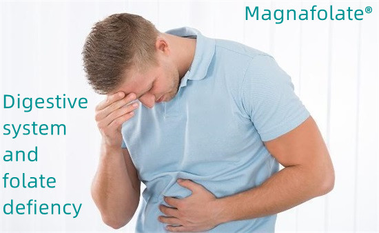 Sistema digestivo e deficiência de folato – Magnafolato
