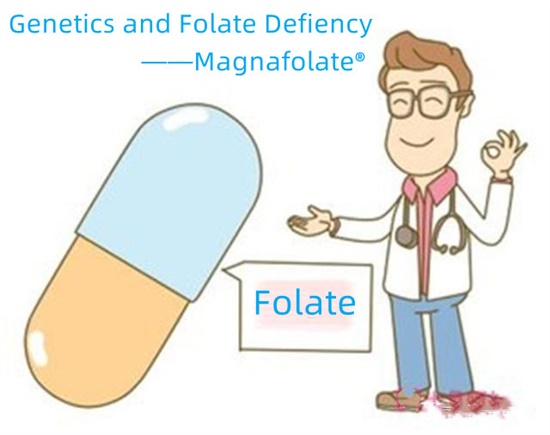Genética e deficiência de folato-Magnafolato