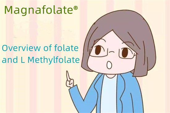 Visão geral de folato e L metilfolato