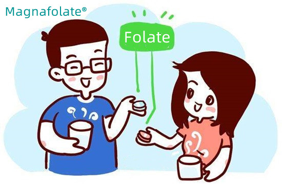 Quanto folato eu preciso?