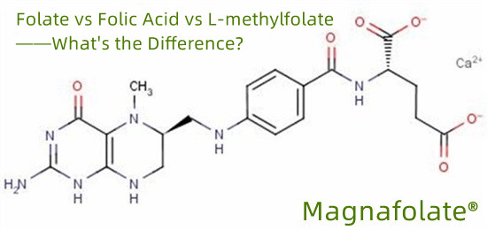 Folato vs Ácido Fólico vs L-metilfolato – Qual é a diferença