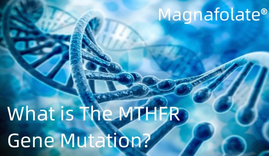 O que é a mutação do gene MTHFR?