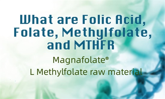 O que são ácido fólico, folato, metilfolato e MTHFR?