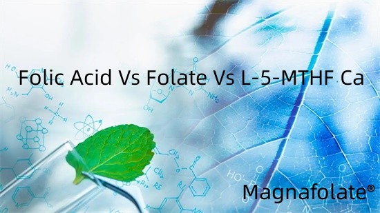Ácido Fólico Vs Folato Vs L-5-MTHF Ca