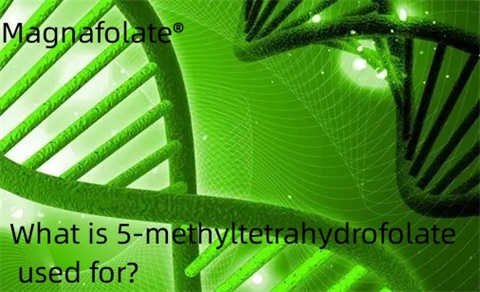 Para que é utilizado o 5-metiltetrahidrofolato?