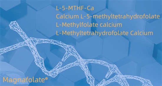 L-5-metiltetrahidrofolato de cálcio Cas151533-22-1