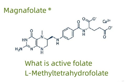O que é folato ativo e L-Metiltetrahidrofolato