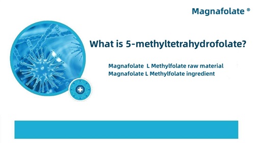 O que é 5-metiltetrahidrofolato?