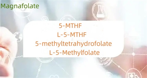 Qual é a diferença entre 5-metiltetrahidrofolato e folato