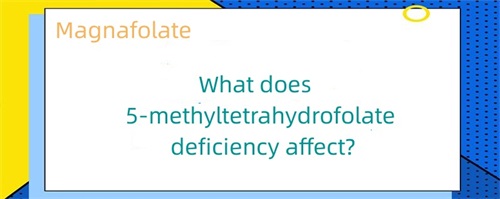 O que a deficiência de 5-metiltetrahidrofolato afeta?