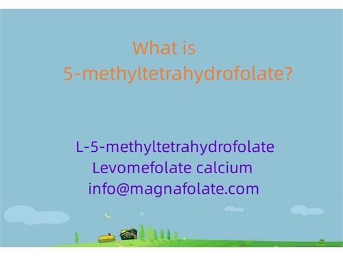 O que é 5-metiltetrahidrofolato?