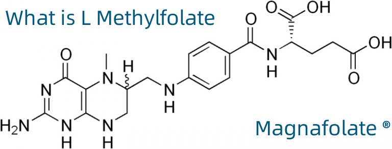 L-5-Metiltetrahidrofolato Cálcio CAS No.:151533-22-1