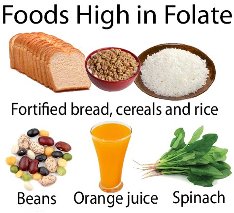 Classificação do Folato - Folato Dietético