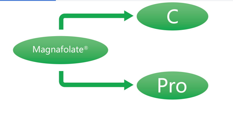 Magnafolato C e Pro-L-Metilfolato de Cálcio