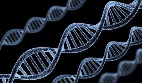 Genótipos anormais de enzimas que metabolizam o folato são a principal causa de distúrbios do metabolismo do folato