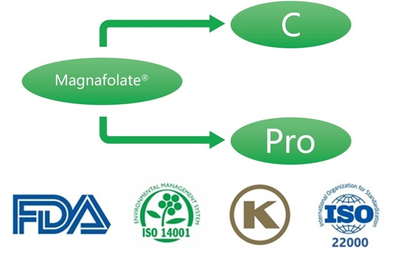 O que é L-5-metiltetrahidrofolato de cálcio? Quais são os fornecedores?