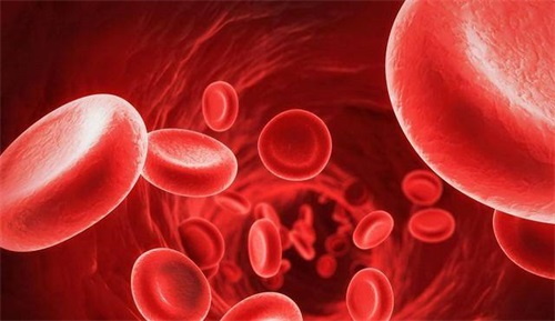 Distúrbio do metabolismo do folato, o que devemos fazer
