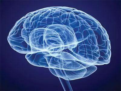 O folato protege o sistema nervoso e previne demência e Parkinson