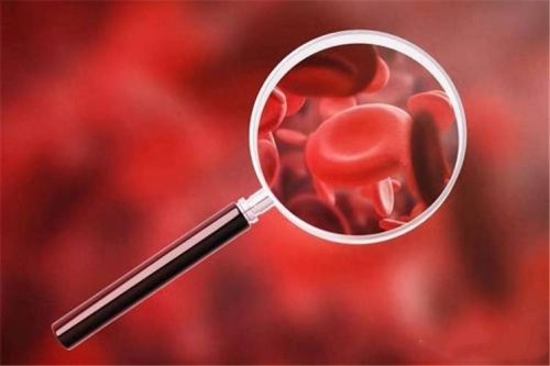 Por que a deficiência de folato causa anemia