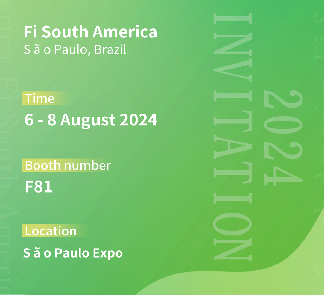 FI América do Sul