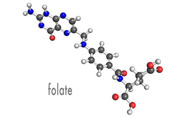 Introdução à série sobre impurezas ativas de folato