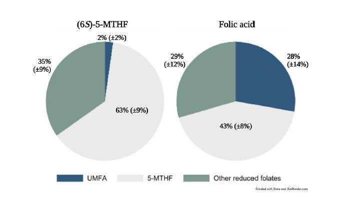 Cuidado! Um estudo publicado na Scientific Reports confirma que quando as mulheres lactantes suplementam com ácido fólico, 28% do folato no leite é ácido fólico não metabolizado (UMFA) inutilizável – 14 vezes mais do que nas mães que tomam a forma bioativa.